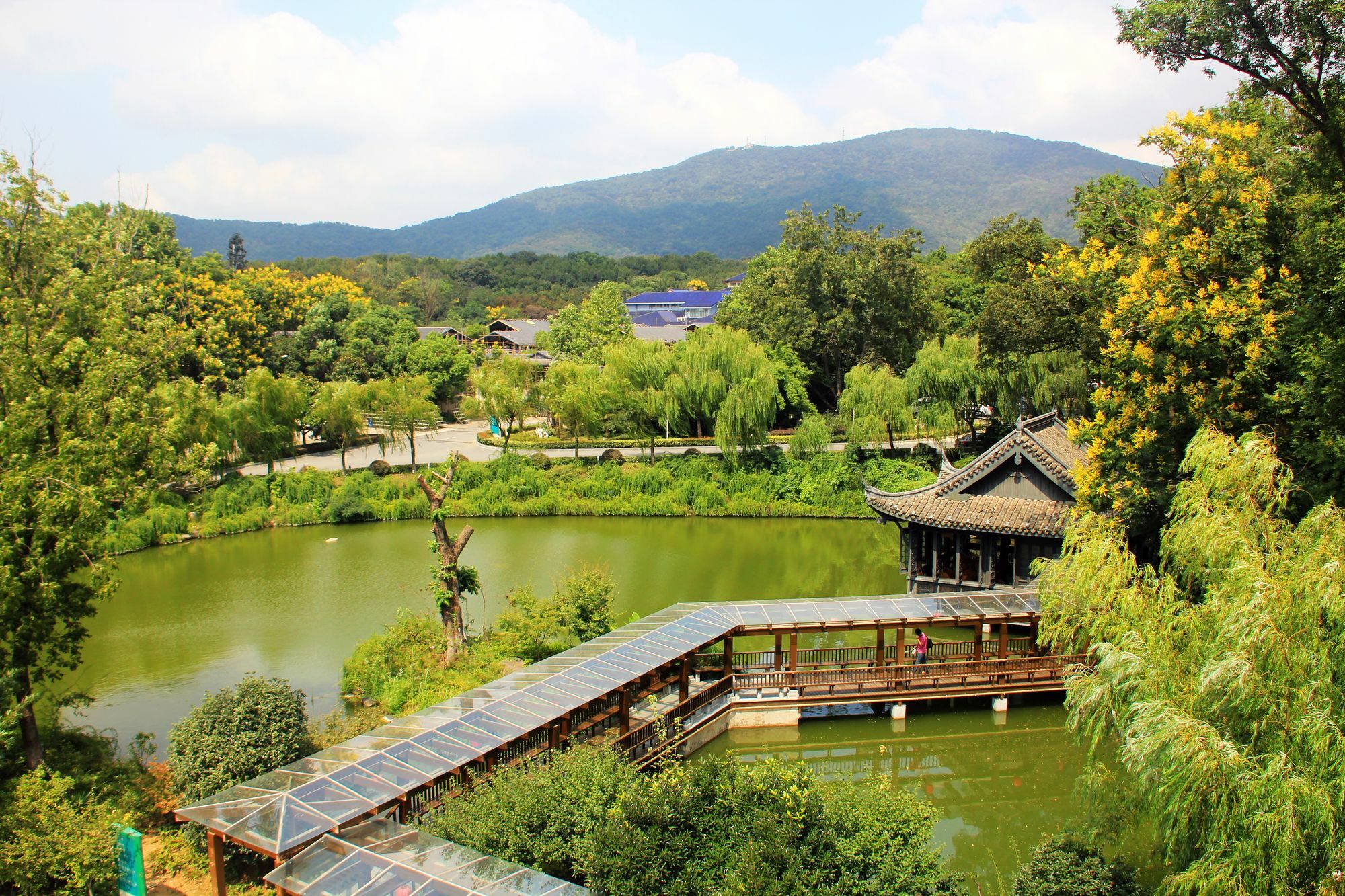International Conference Hotel Of Nanjing Нанкин Экстерьер фото